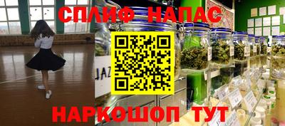 сатива Гатчина