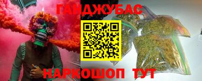 сатива Гатчина