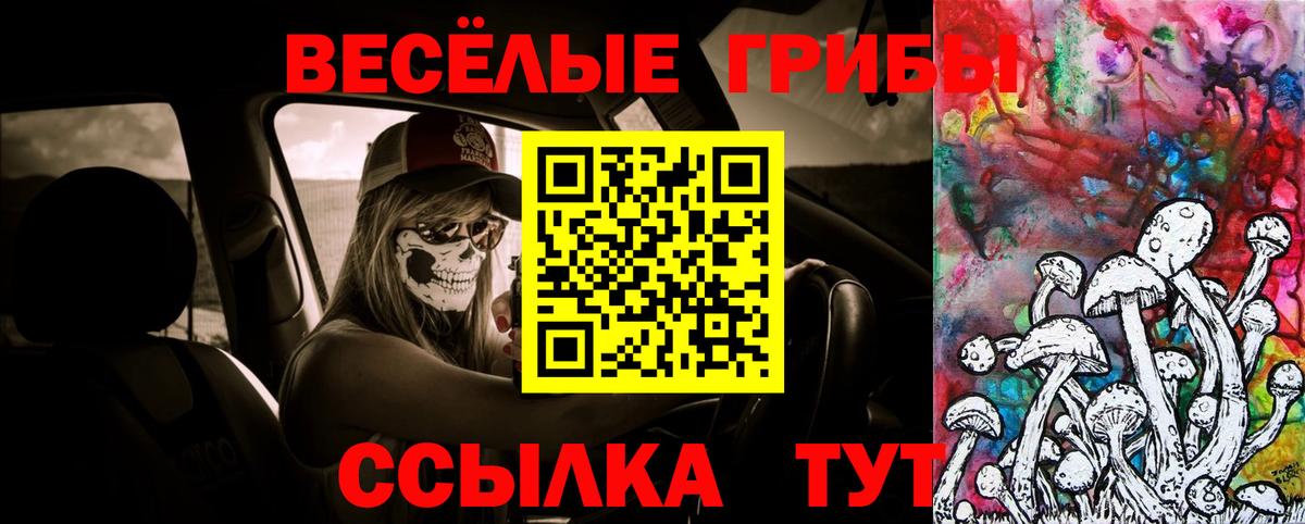 Псилоцибиновые грибы Magic Shrooms Мыски